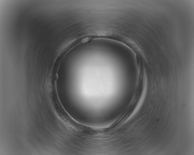 X0000083070536200702091533