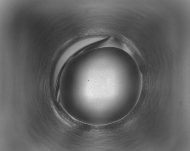 X0000083070538200702091533