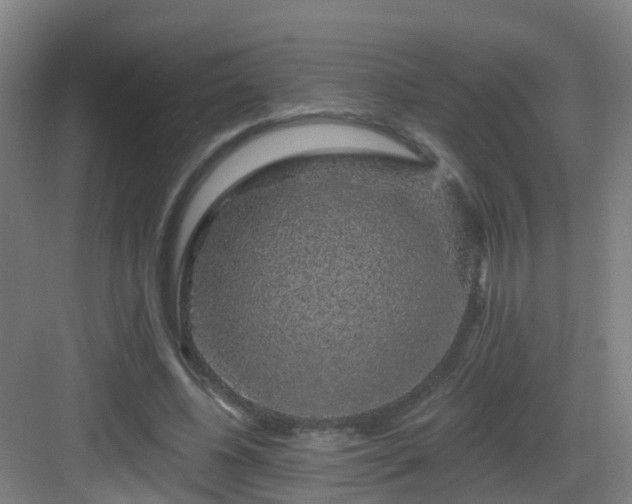 X0000083070540200702091533