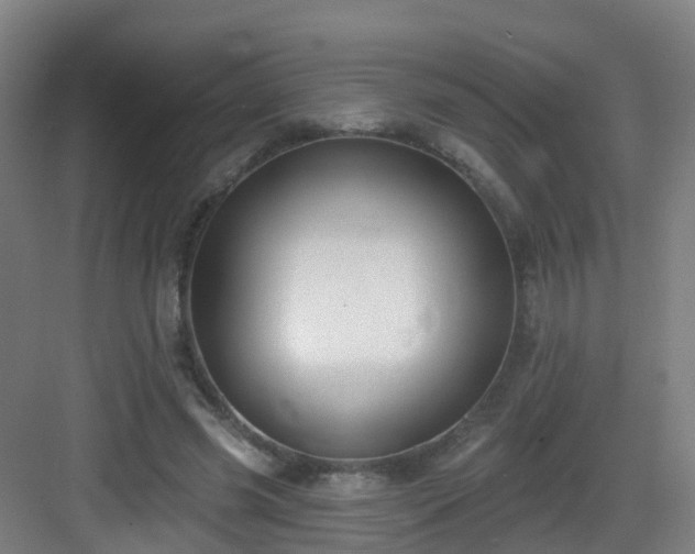 X0000083070541200702091533