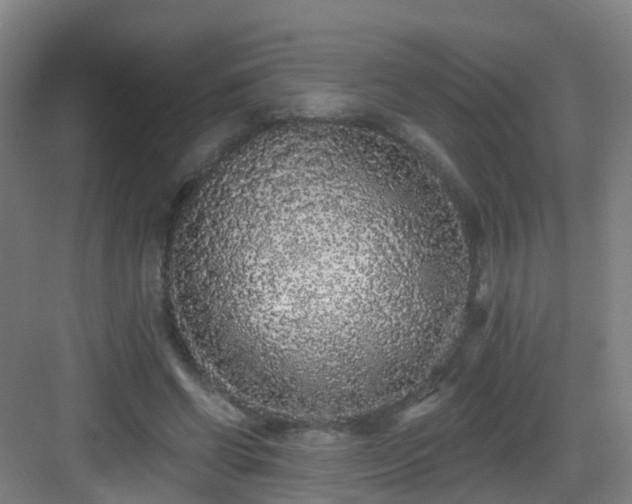 X0000083070542200702091533