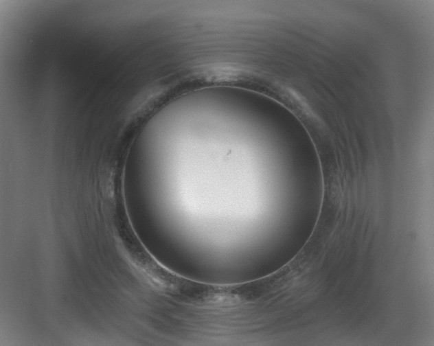 X0000083070543200702091533