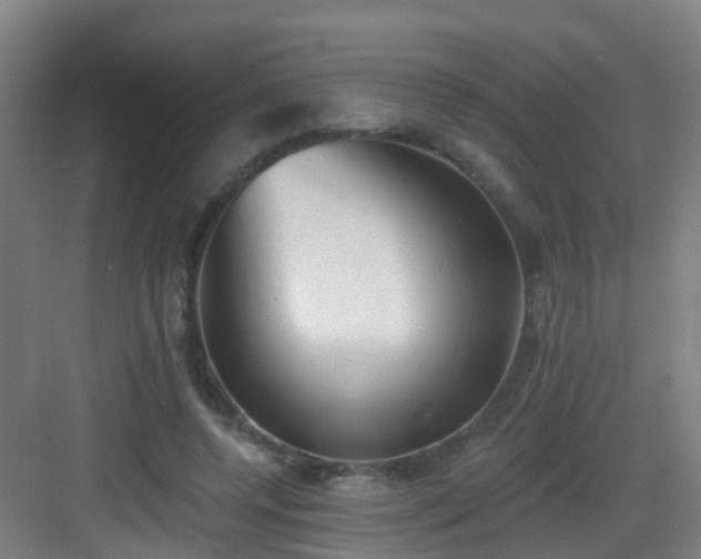 X0000083070544200702091533