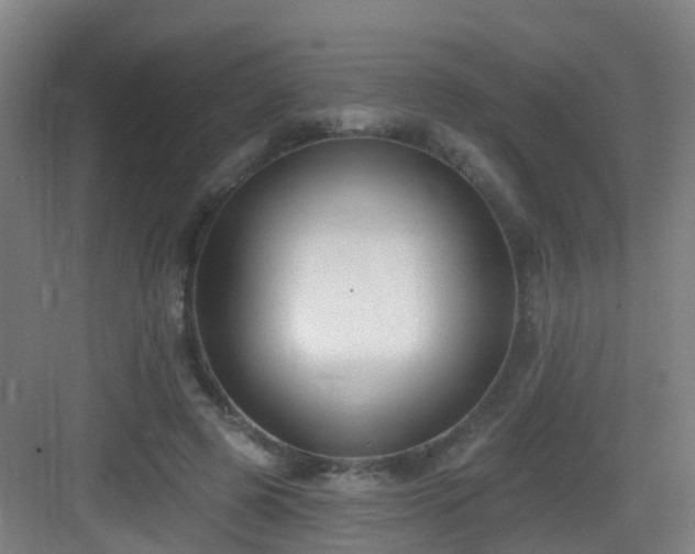 X0000083070545200702091533