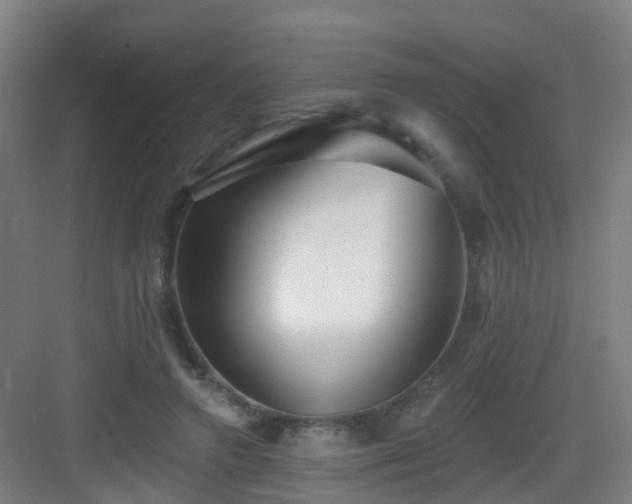 X0000083070546200702091533