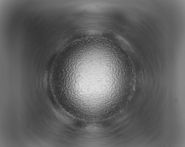 X0000083070550200702091533