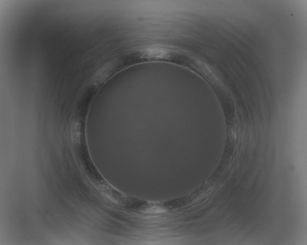 X0000083070551200702091533