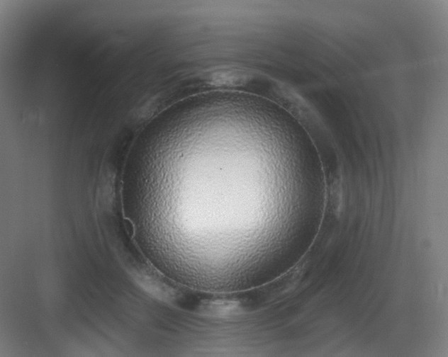 X0000083070554200702091533