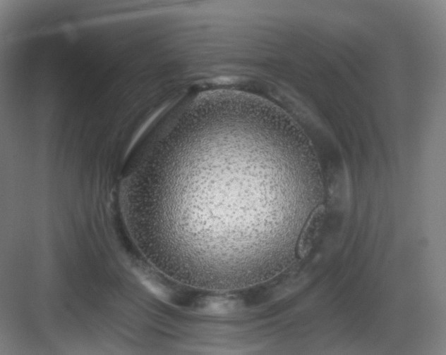 X0000083070555200702091533