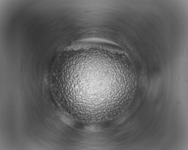 X0000083070561200702091533