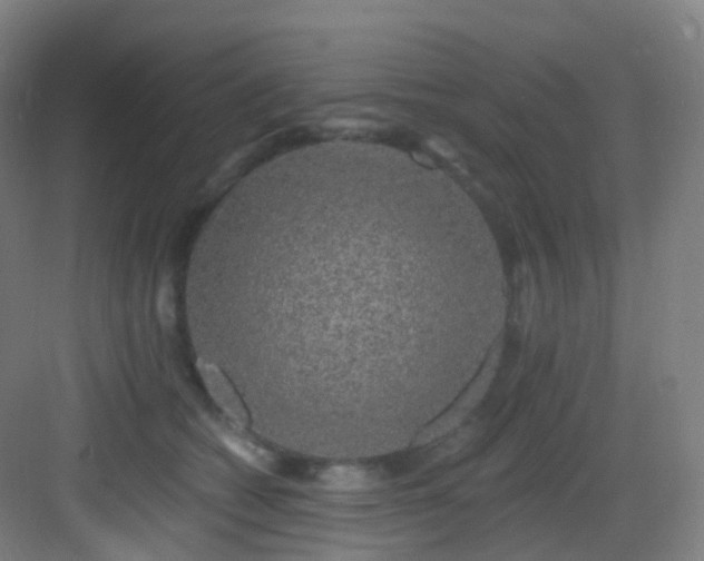 X0000083070562200702091533