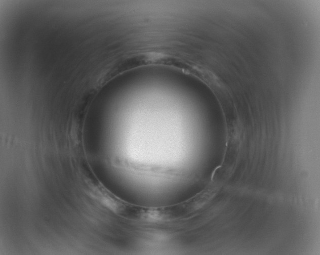 X0000083070565200702091533