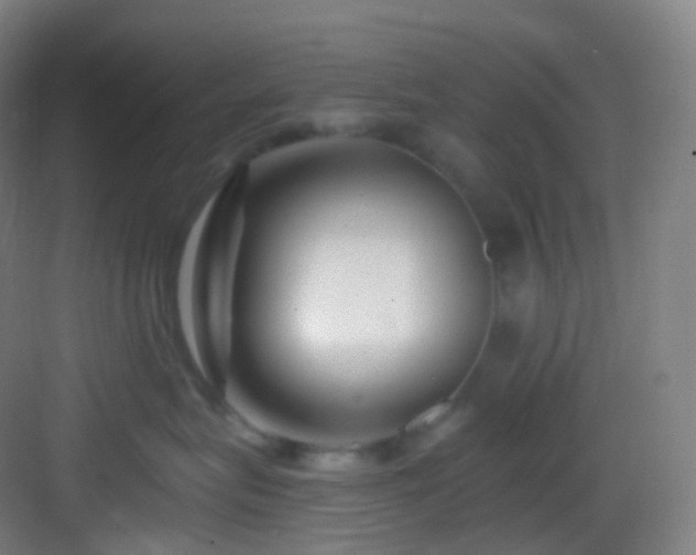 X0000083070575200702091533