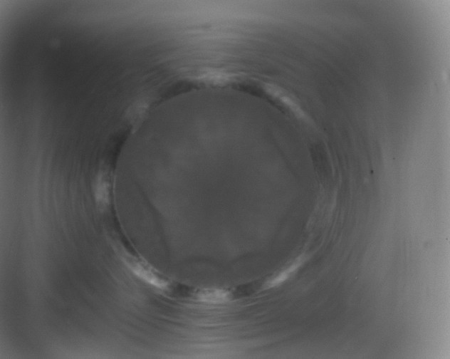 X0000083070576200702091533