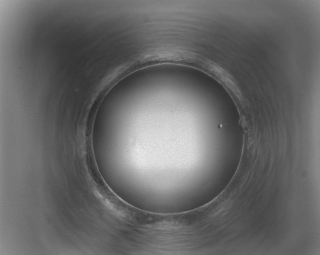 X0000083070578200702091533