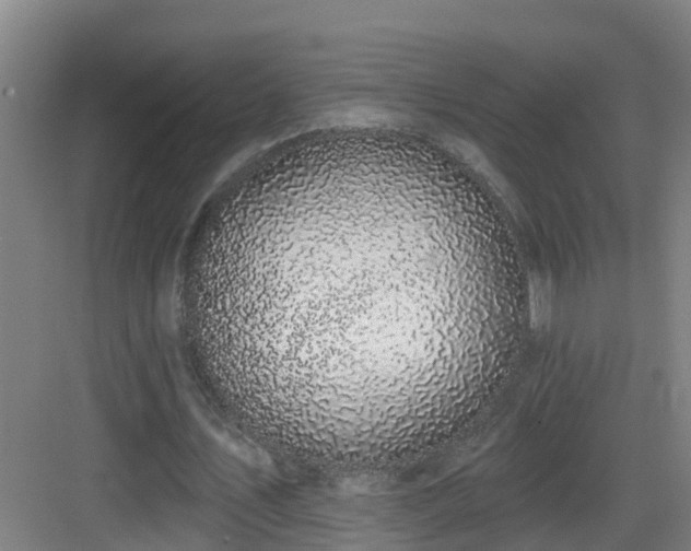 X0000083070579200702091533