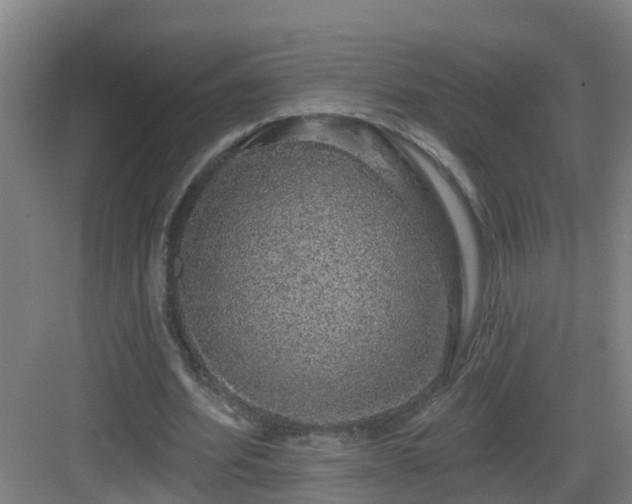 X0000083070580200702091532