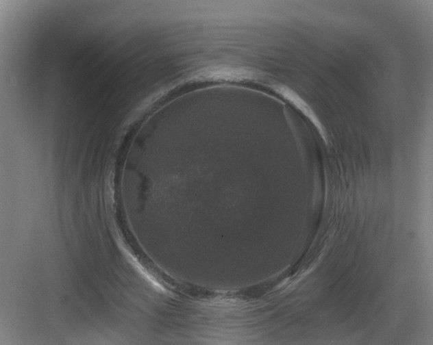 X0000083070581200702091532