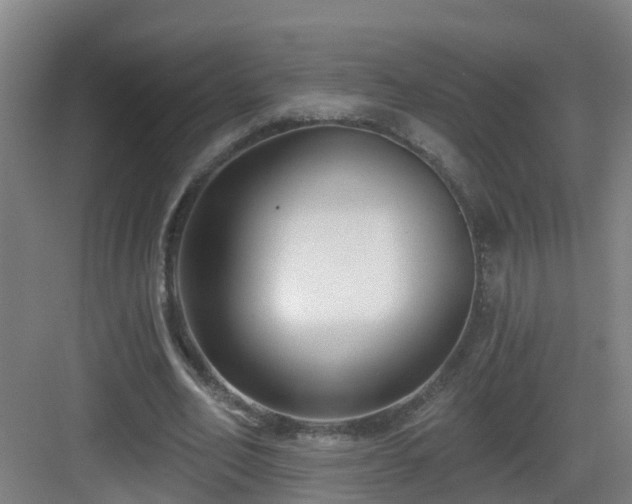 X0000083070582200702091532