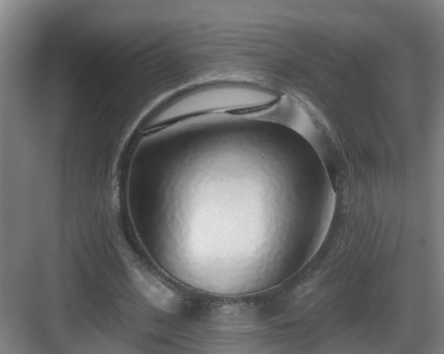 X0000083070584200702091532