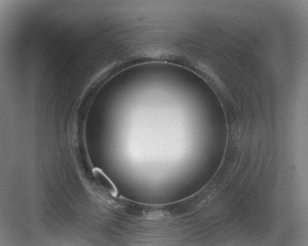 X0000083070587200702091532
