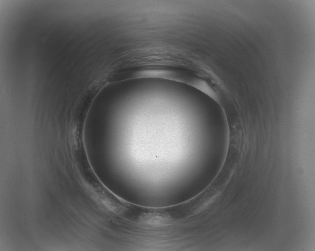 X0000083070597200702091532
