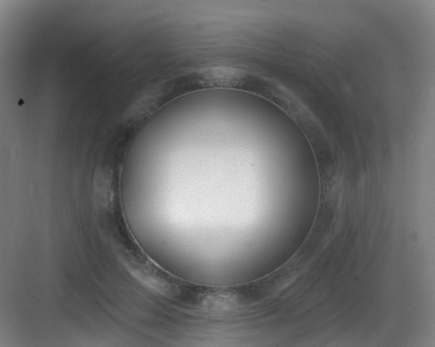 X0000083070599200702091532