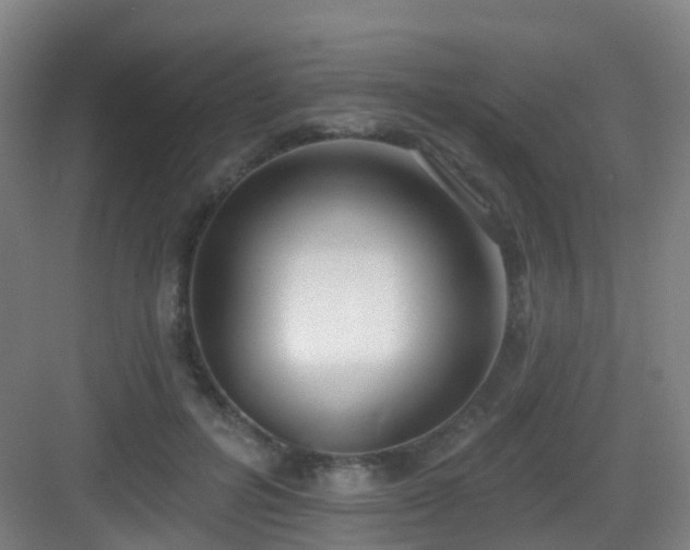 X0000083070600200702091532