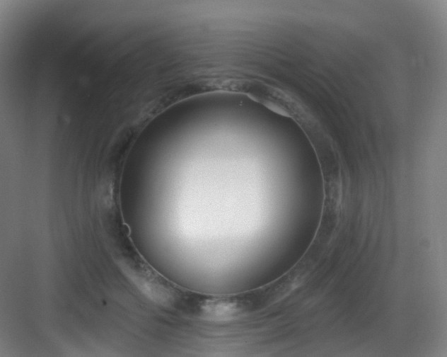 X0000083070602200702091532