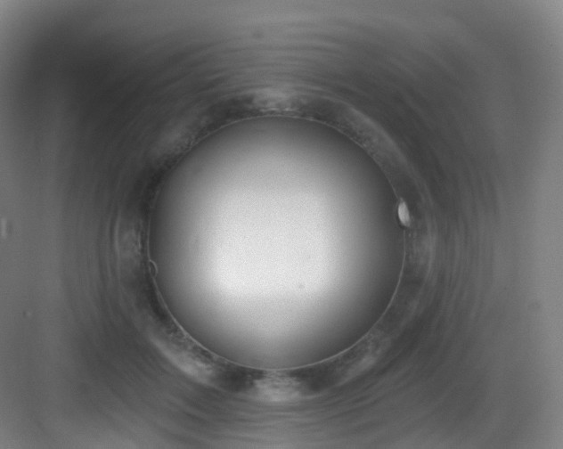X0000083070603200702091532