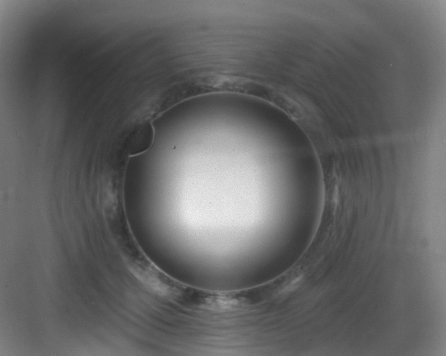 X0000083070607200702091532