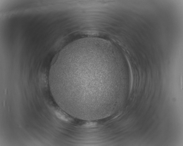 X0000083070609200702091532