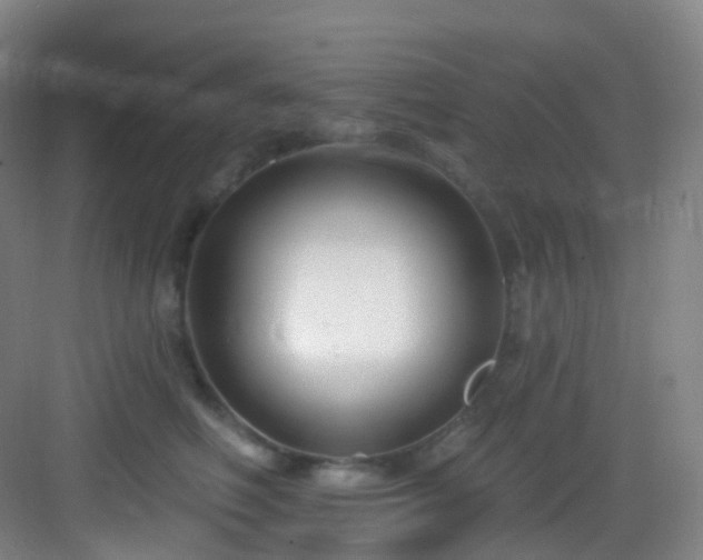X0000083070614200702091532