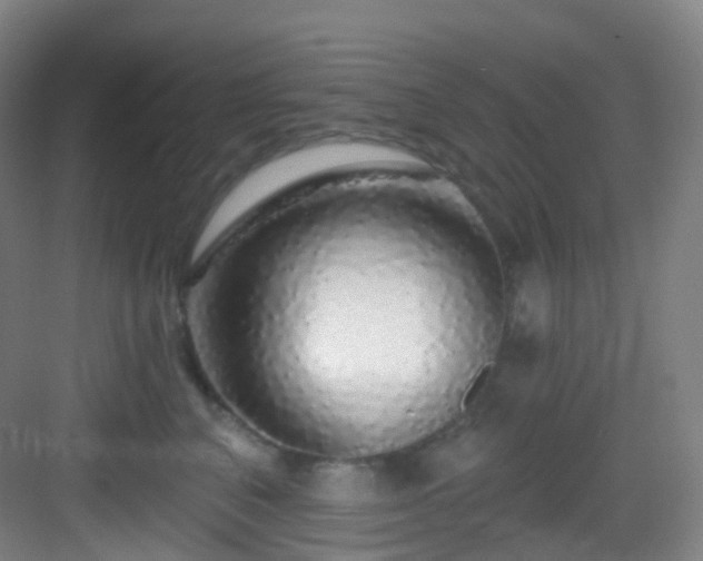 X0000083070616200702091532