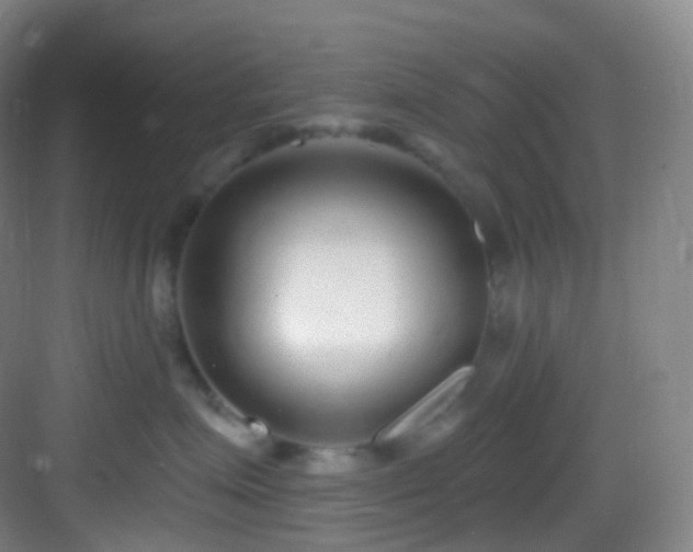 X0000083070623200702091532