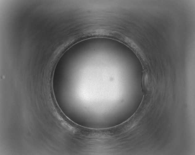 X0000083070625200702091531