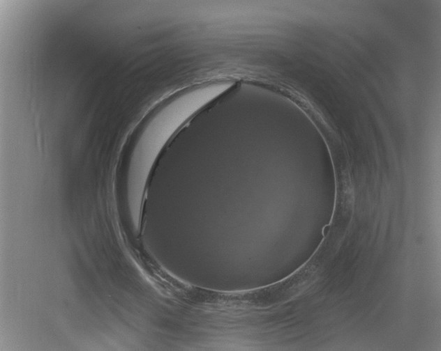 X0000083070626200702091531