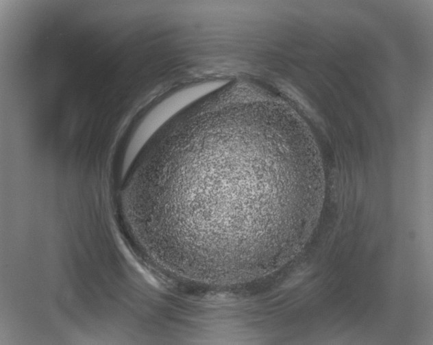 X0000083070634200702091531