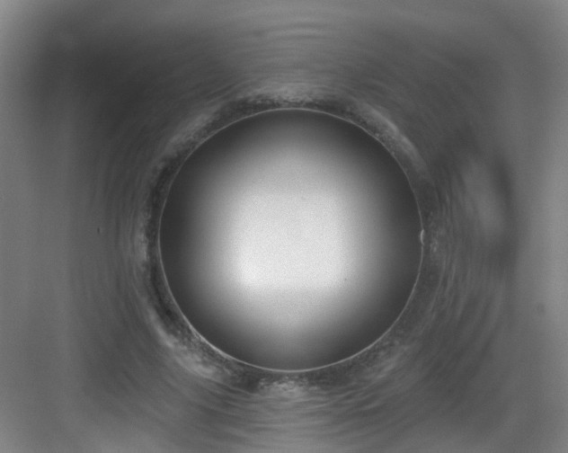 X0000083070635200702091531