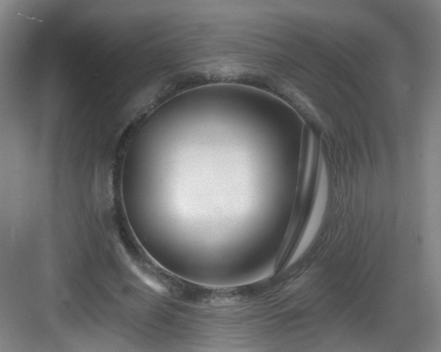 X0000083070638200702091531