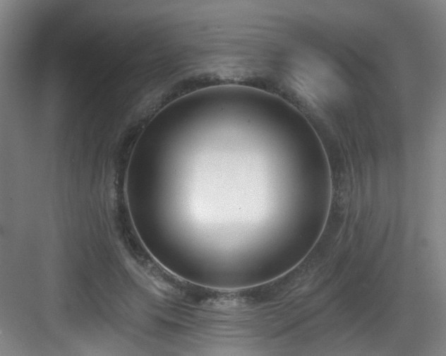 X0000083070639200702091531