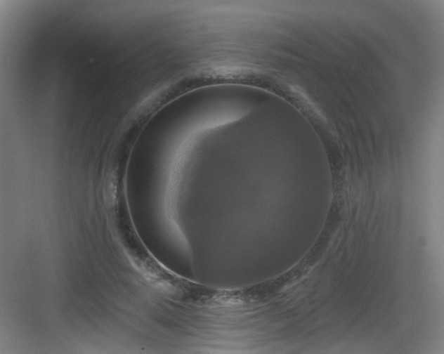 X0000083070640200702091531