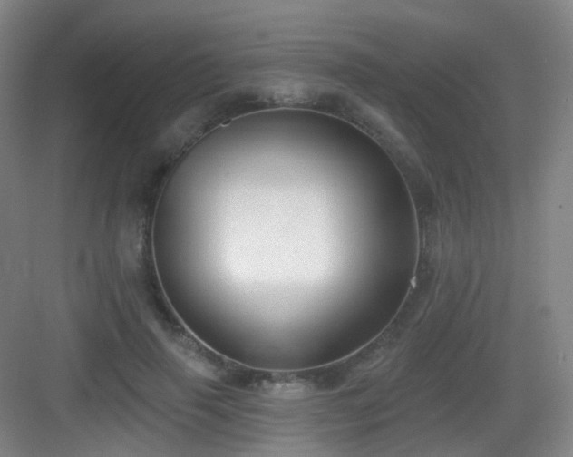 X0000083070645200702091531