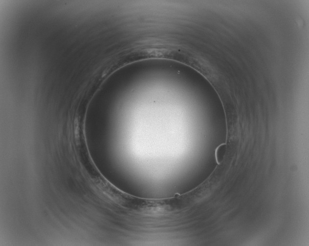 X0000083070646200702091531