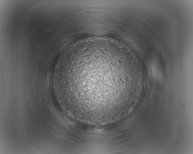 X0000083070647200702091531
