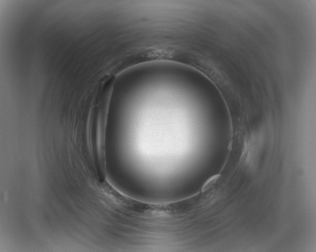 X0000083070649200702091531