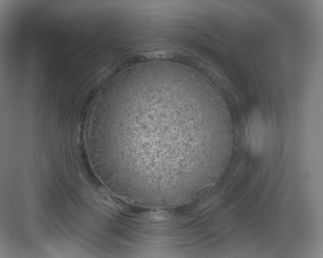 X0000083070652200702091531