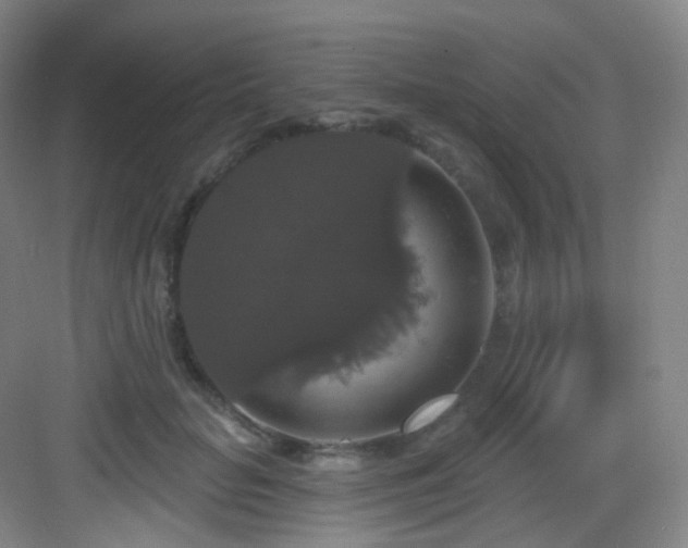 X0000083070653200702091531