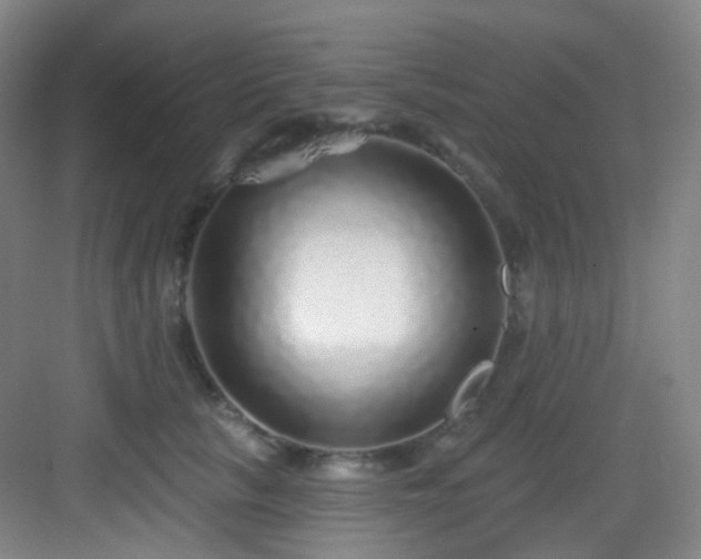 X0000083070657200702091531