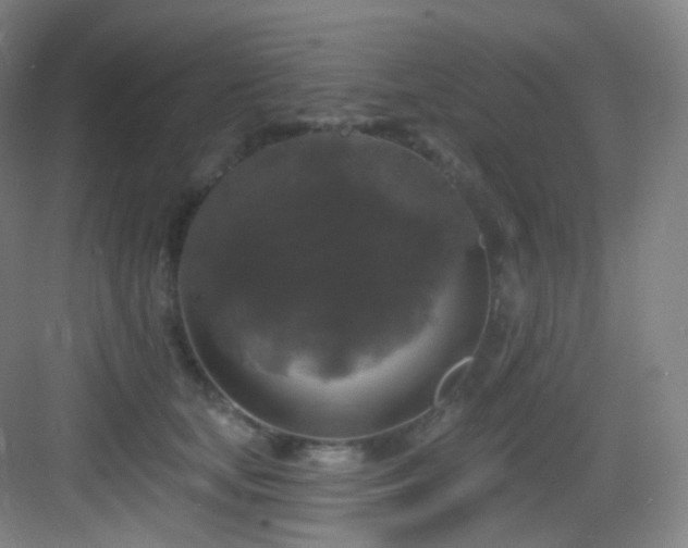 X0000083070659200702091532